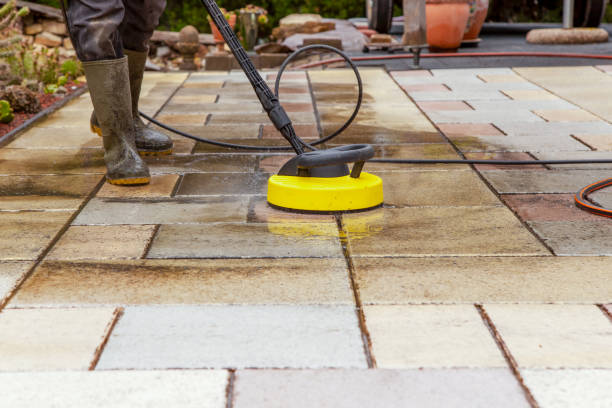 Best Boat and Dock Cleaning  in Olivet, MI